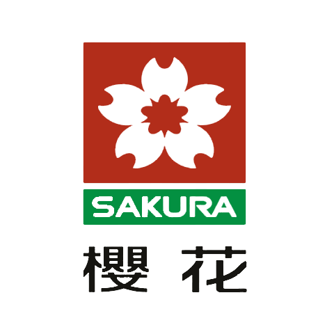 Sakura cherry blossoms