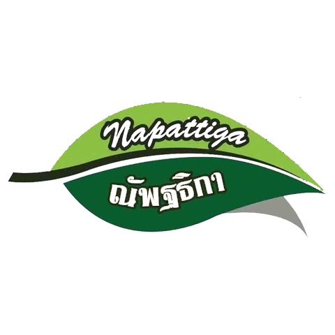 Napattiga