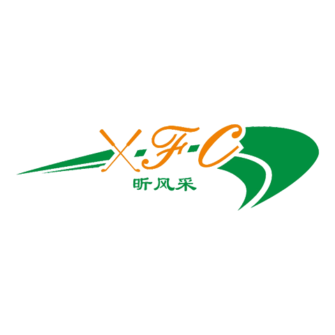 XFC Xin style