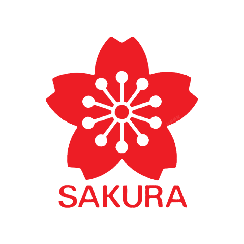 Sakura cherry blossoms