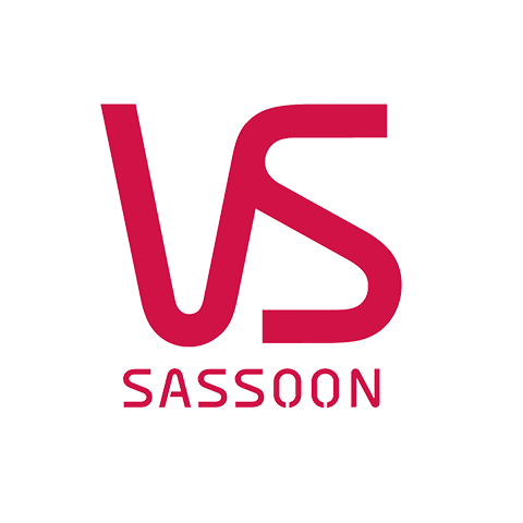 VS Sassoon 沙宣logo
