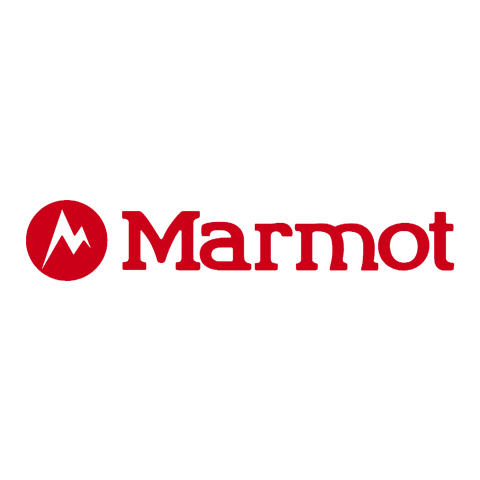Marmot groundhog