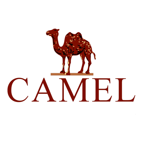 camel
