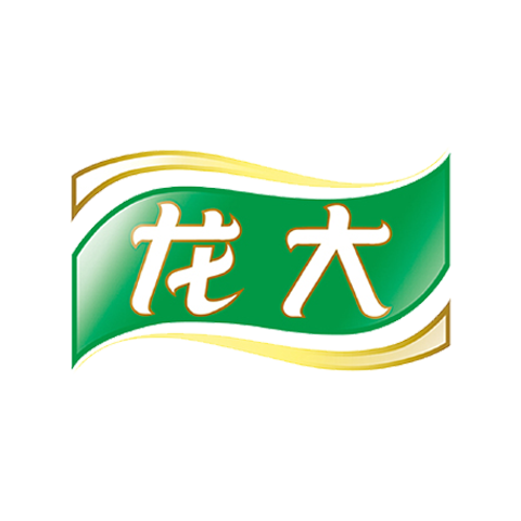 Dragon Big
