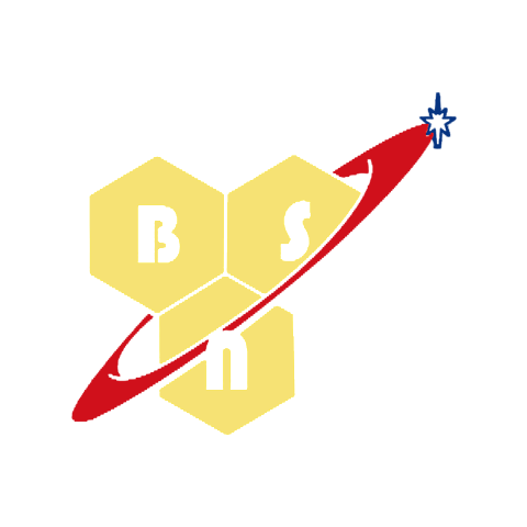 BSN Best