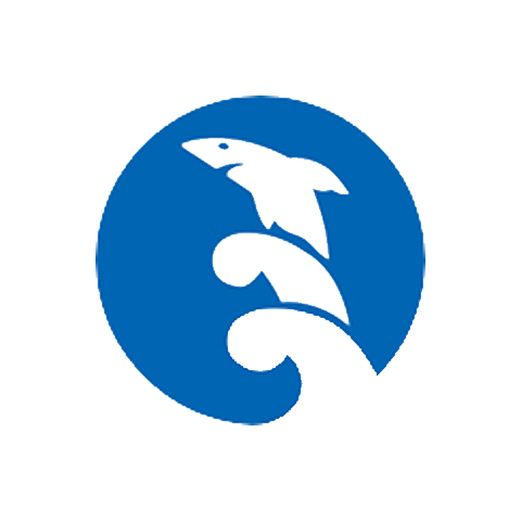 Star shark