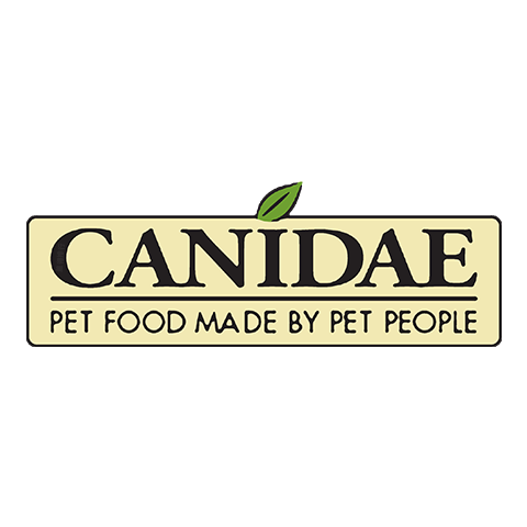 Canidae Kirby
