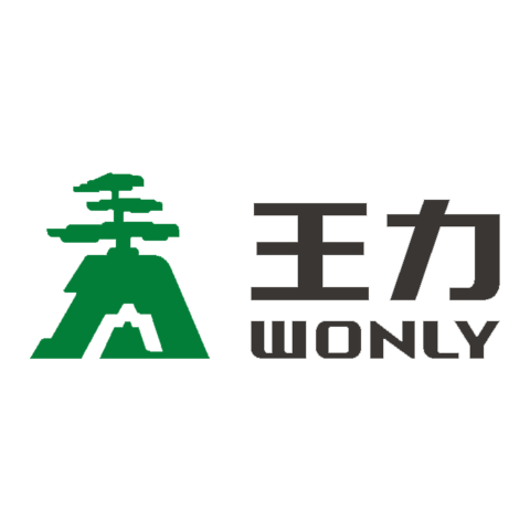 Wang Li