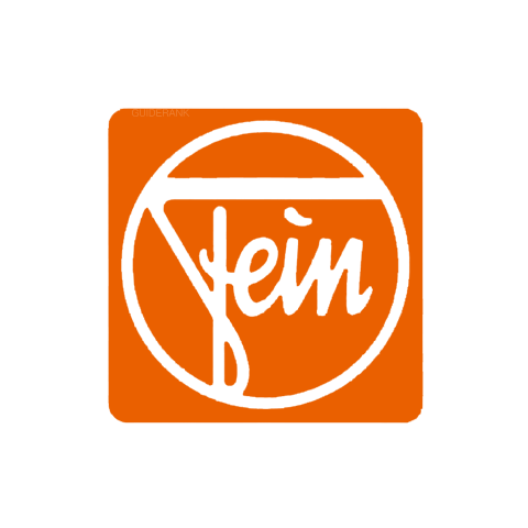 FEIN overtones