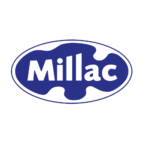 Millac Blue Pinwheel (Blue Miji)