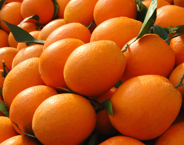 Fengjie navel orange