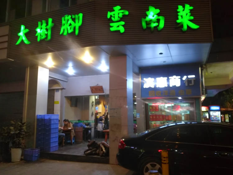 Yunnan cuisine at the foot of the big tree