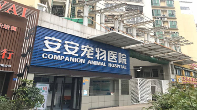 An An Pet Hospital