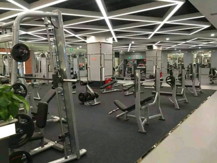 Jin Ji Bird Fitness