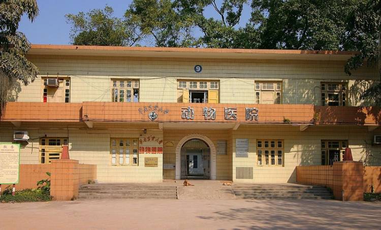 Animal Hospital of South China Agricultural University