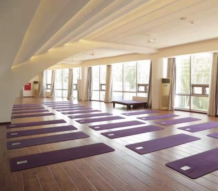 Yoga Yoga