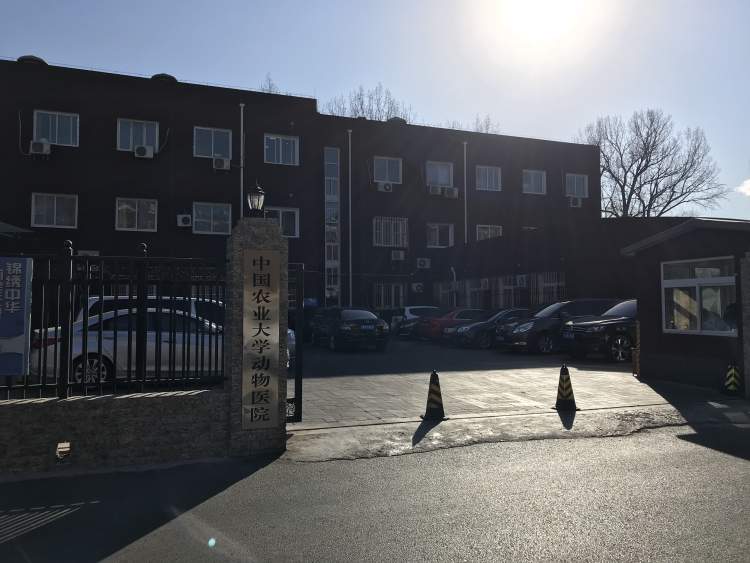 Animal Hospital, China Agricultural University