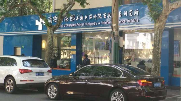 Animal Clinic, Institute of Animal Husbandry and Veterinary Medicine, Academy of Agricultural Sciences