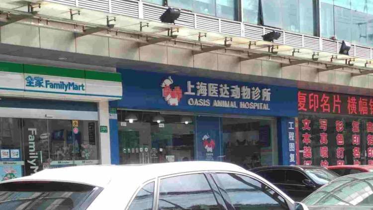 Yida Animal Clinic