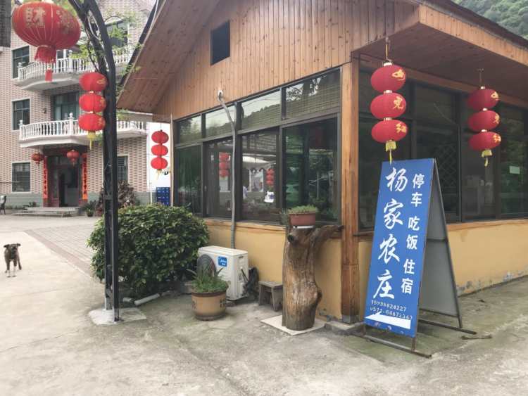 Yangjia Farm