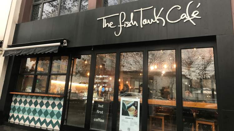 FishTank Coffee