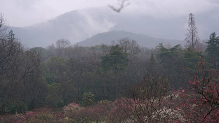 Zhongshan Scenic Area