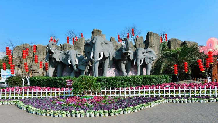 Changsha Ecological Zoo