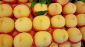 Fengxian yellow peach