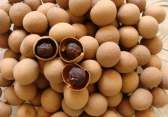 Dried longan