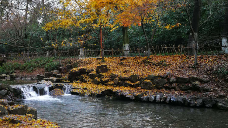 Nine Creeks