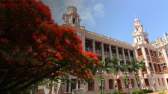 university