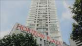 New South Horizons