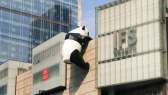 Chunxi Road/Taikoo Li