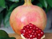 Lintong pomegranate