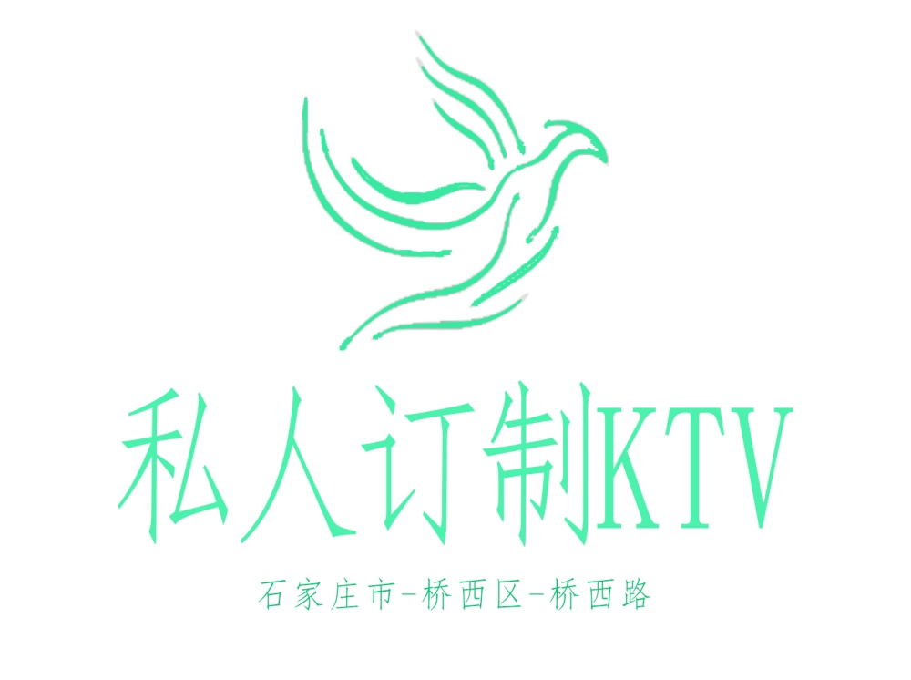 Shijiazhuang private custom KTV