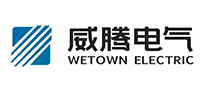 Witten Electric