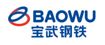 Baowu Iron & Steel