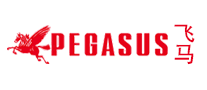PEGASUS Pegasus