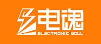 Electric Soul Network
