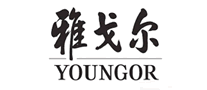 YOUNGOR YOUNGOR