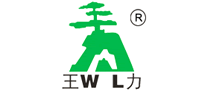 Wang Li locks