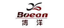 Boyang car decoration BOEAN