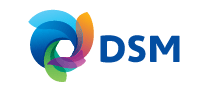 DSM DSM