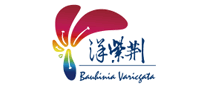 Bauhinia