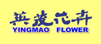 Yingmao flowers