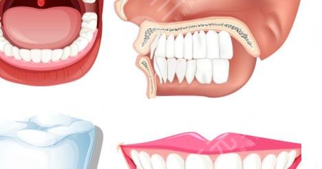 Orthodontics