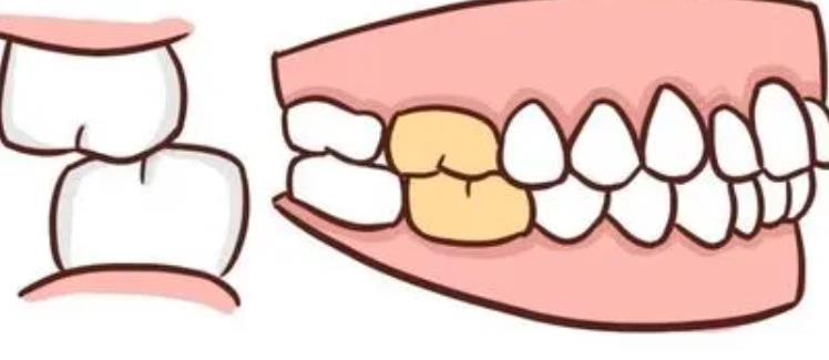 Orthodontics