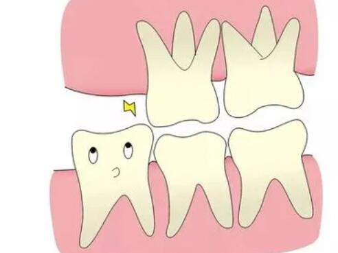 Orthodontics