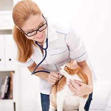 Shanghai Pet Hospital