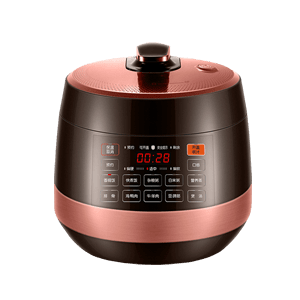 Top 10 brands of rice cookers